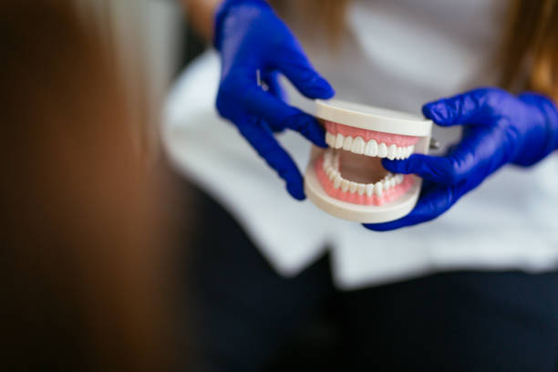 Brodheadsville, PA  Holistic Dental Services Company